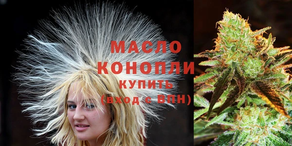амф Бородино