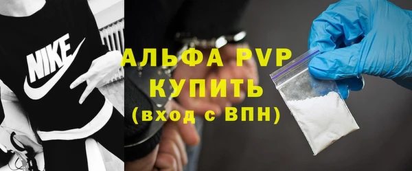 амф Бородино