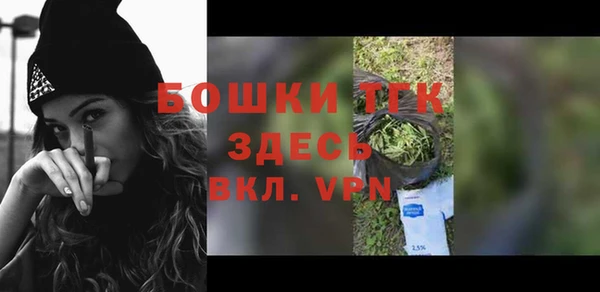 амф Бородино