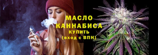 амф Бородино