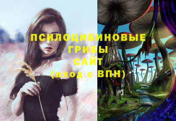 Альфа ПВП Верхний Тагил