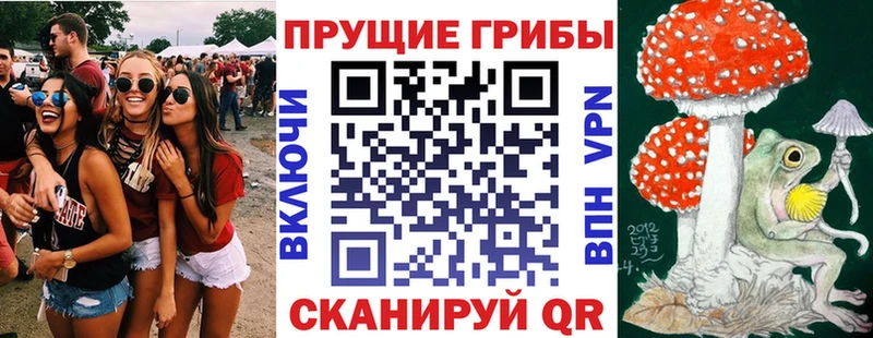 Галлюциногенные грибы MAGIC MUSHROOMS  Гаврилов-Ям 